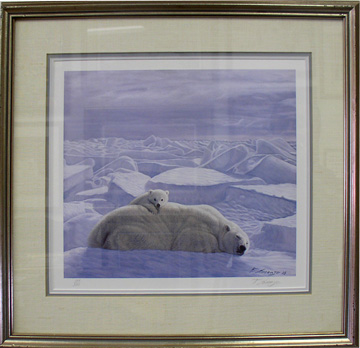 framed limited edition prints wildlife